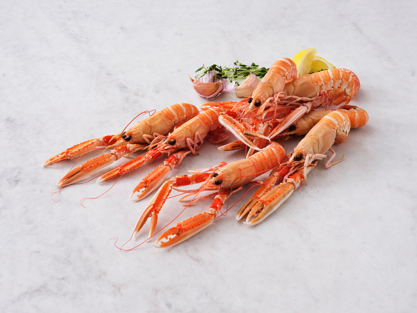 Färska havskräftor från Smögen 1 kg